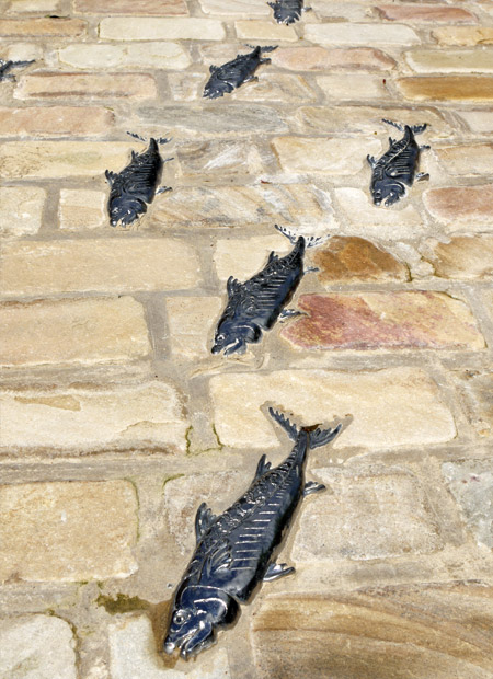 Flooring Design Fish Details